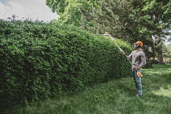 stihl cordless long reach hedge trimmer