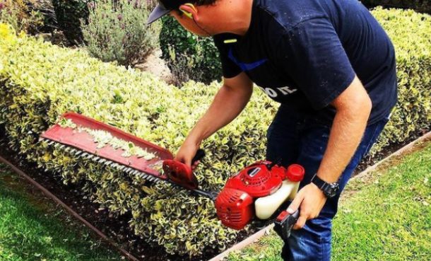 shindaiwa-ht235-hedge-trimmer